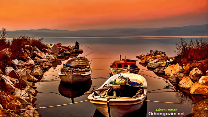 İznik Gölü Balık Türleri